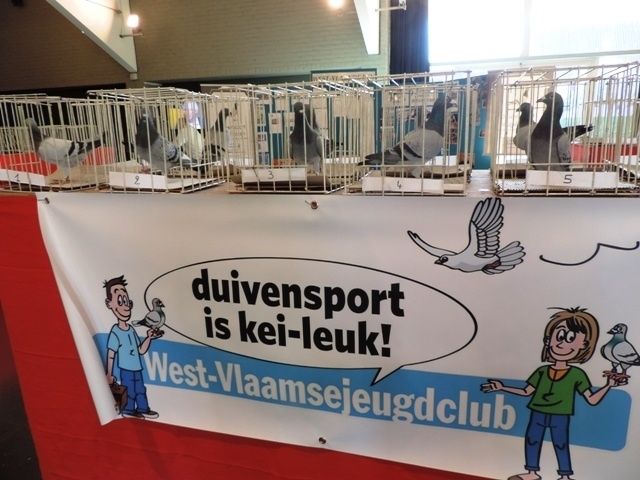 Keuring ter hoogte van stand West-Vlaamse Jeugdclub